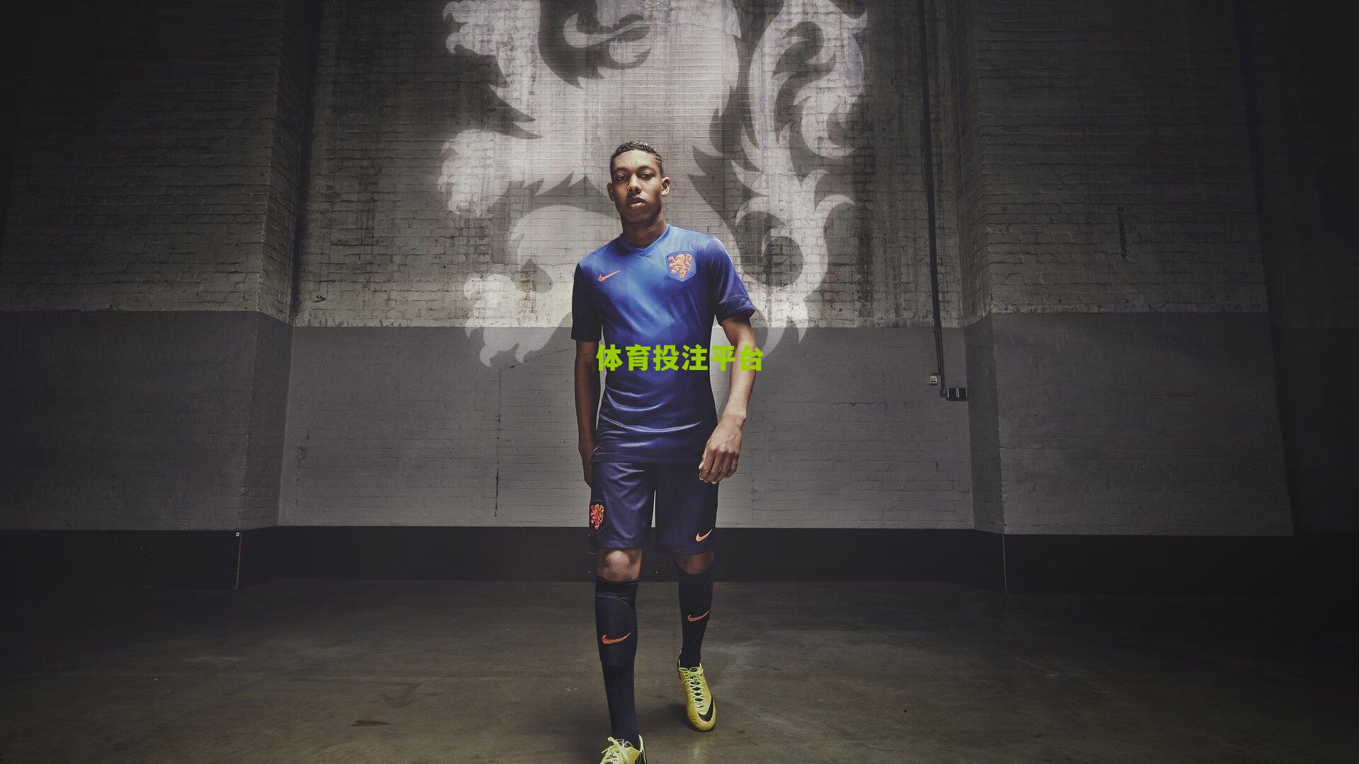 体坛传奇星光璀璨，球迷心中谁是最亮的那一颗？